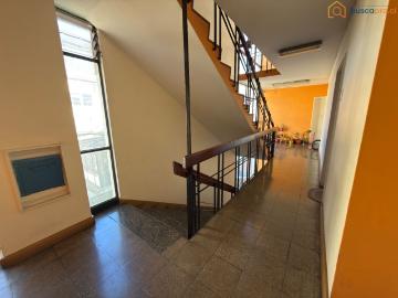 Arriendo departamento 3 dormitorios grandes a pasos UDEC Centro de Concepción
