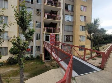 ARRIENDO DEPARTAMENTO 3HAB 1BA LOS TULIPANES, 920