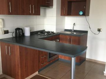 Arriendo departamento con patio en Paso Hondo