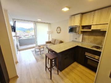 Arriendo departamento amoblado 2d/2b novo urbano, 7° piso