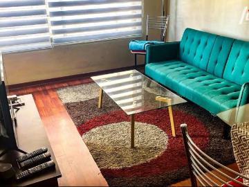 Arriendo departamento amoblado calle catedral, santiago