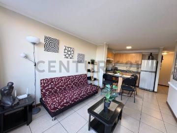 Arriendo departamento amoblado en Gómez Carreño