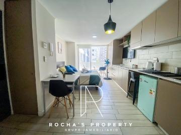 Arriendo Departamento Santiago dpto amoblado en santiago todo incluido 1d+1b