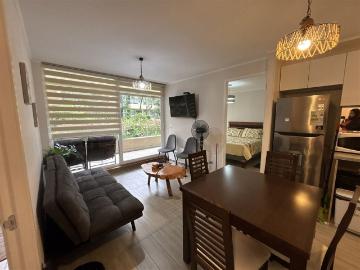 Arriendo Departamento Pucón Condominio Alta Vista
