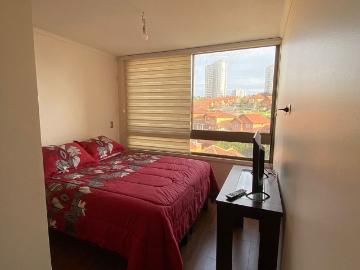 Arriendo departamento viña del mar alto
