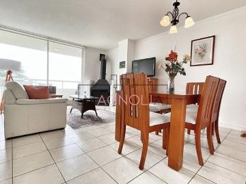 Arriendo Departamento Zapallar pinares de cachagua, laguna zapallar