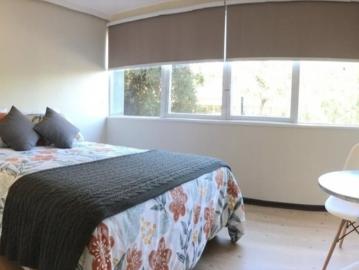 Arriendo Excelente Habitacion Amoblada Providencia Mínimo una semana