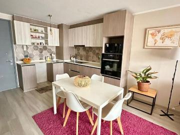 ARRIENDO COMODO DEPTO 2D SALA ESTAR 2B EST BO PROVIDENCIA