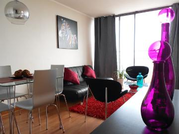 Arriendo por dias. Departamentos amoblados por dias. A pasos de Movistar Arena y Teatro Caupolican