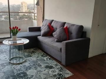 Arriendo semi amoblado, viña del mar