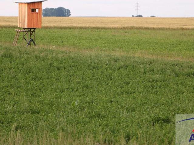 Arrondierte Landwirtschaft mit ca. 5 bis 12 Hektar!