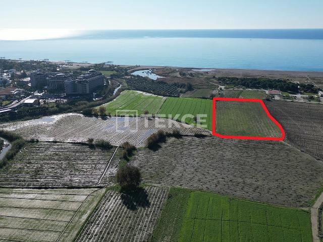 Arsa Manavgat, Antalya, Türkiye 215861