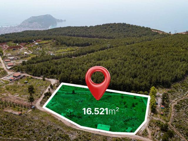 Arsa Alanya, Antalya, Türkiye 216942