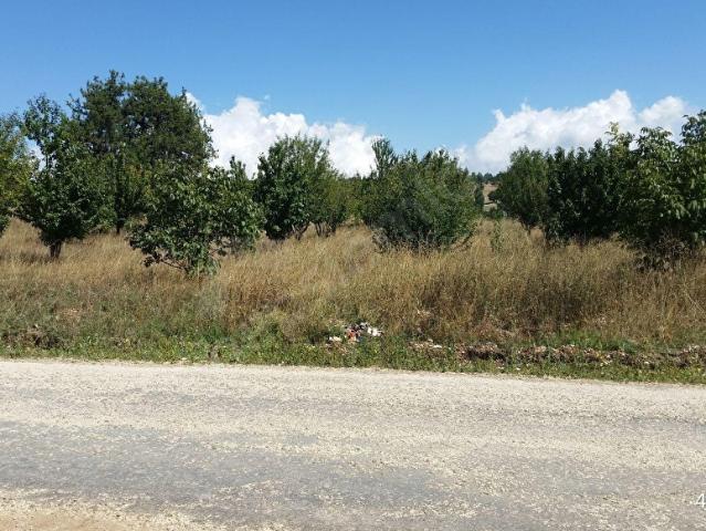 ARSA ERDEMLİ AKPINAR KÖYÜ VE YAYLASINDA YOL CEPHELİDİR. 930 m2 imarlı arsa