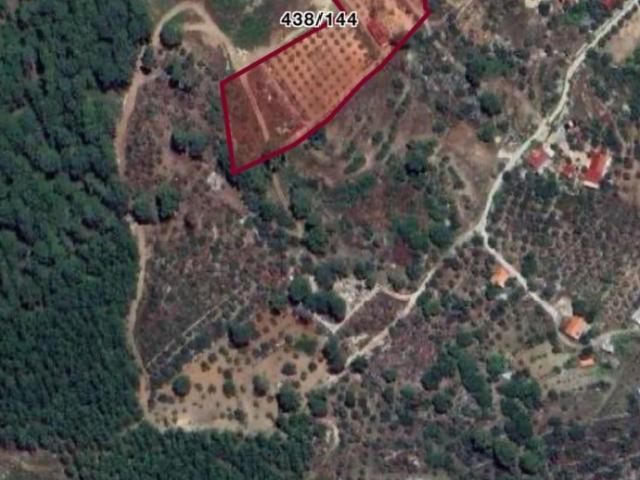 Arsa Fethiye, Muğla, Türkiye 225520