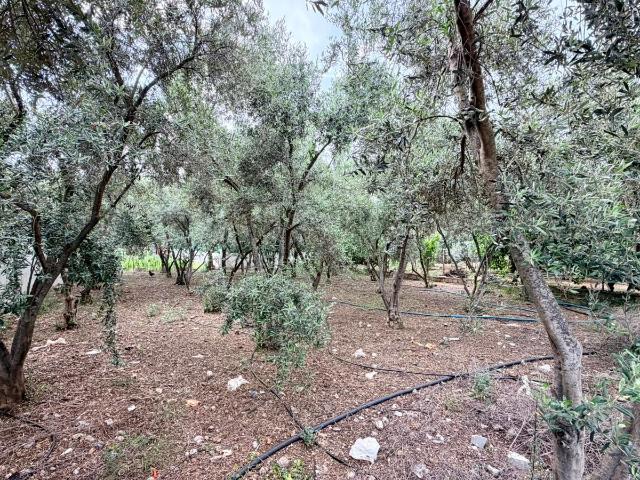 Arsa Fethiye, Muğla, Türkiye 225826