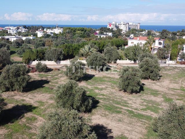 Arsa Girne, 161303