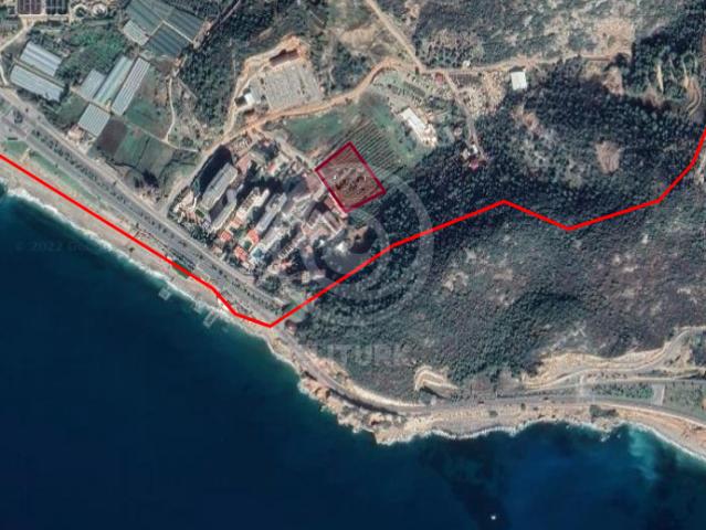 Arsa Konaklı, Antalya, Türkiye 43309
