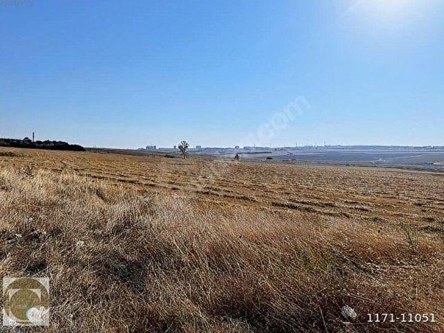 ARSA SAHİBİNDEN SİLİVRİ MİMARSİNAN 26445 M2 ARSA