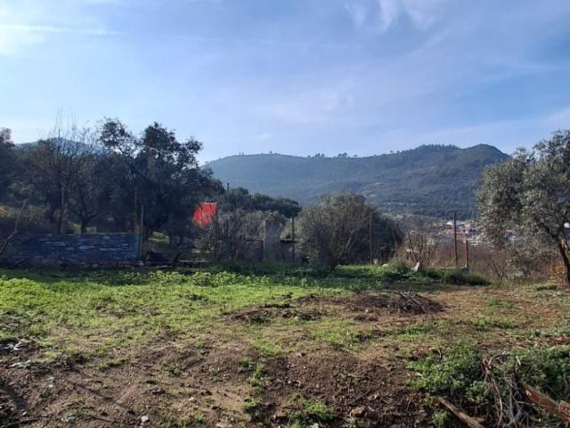 Arsa Selçuk, İzmir, Türkiye 223234