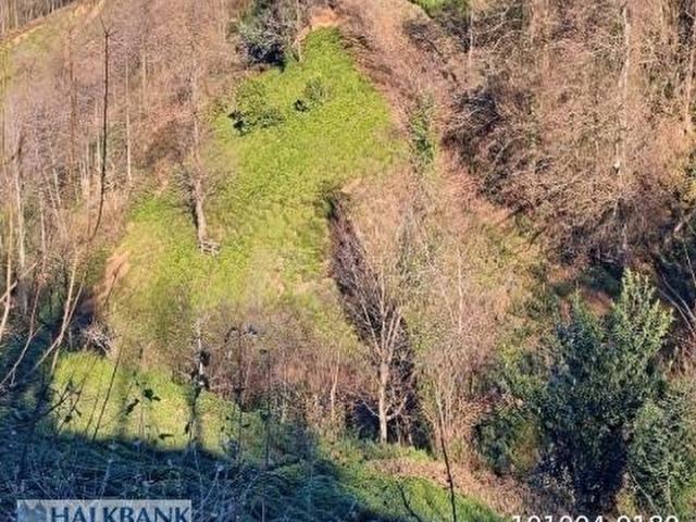 Artvin Hopa Satılık Arsa