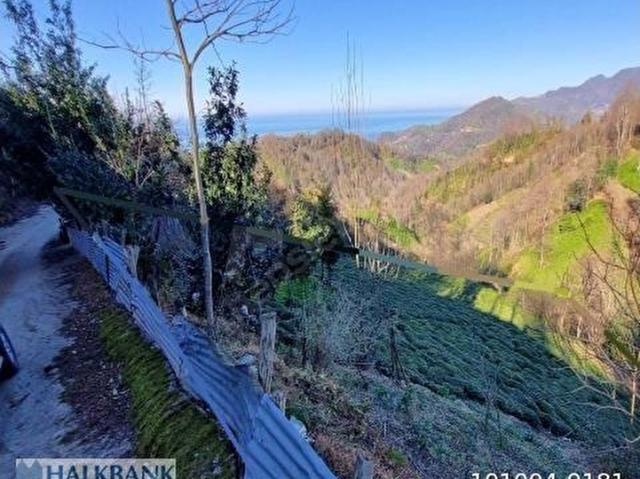 Artvin Hopa Satılık Arsa