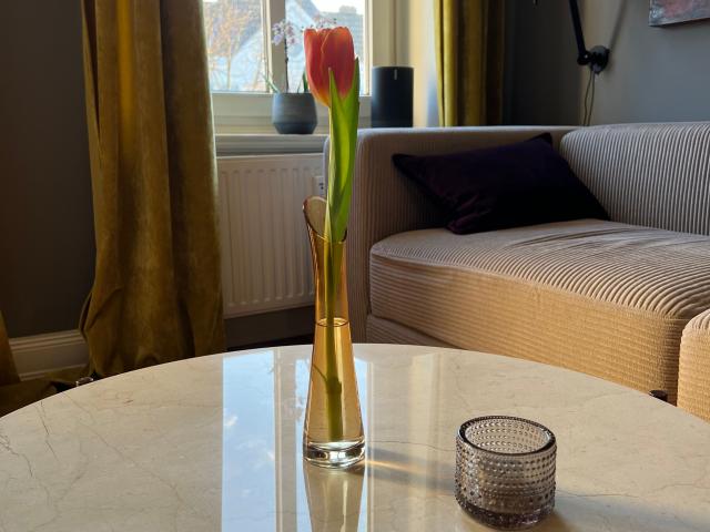 Art Noveau Apartment in Eppendorf