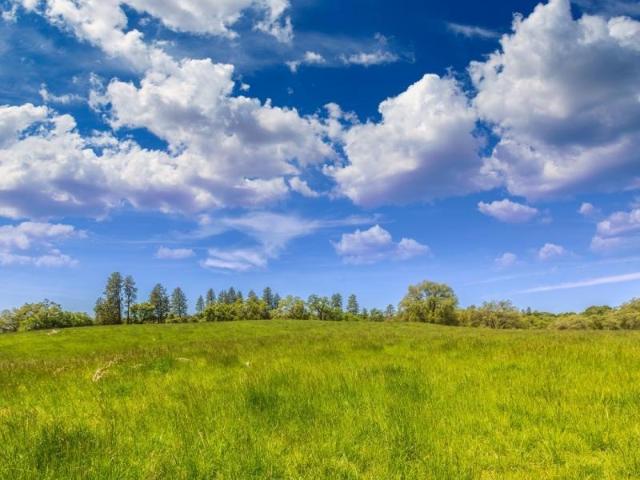 Artannes sur Indre Vente Terrain 37
