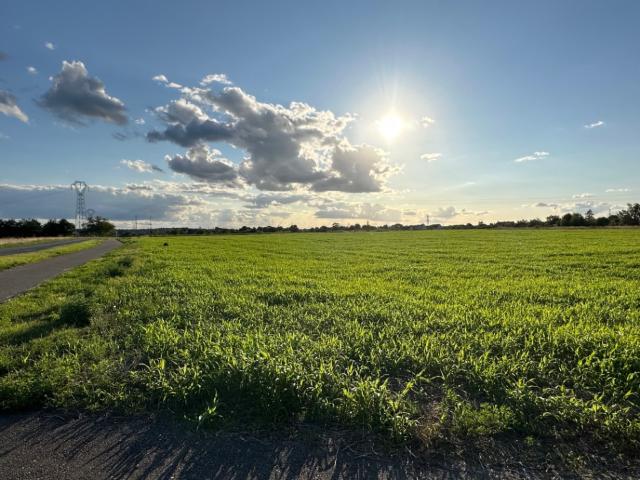 Artannes sur Indre Vente Terrain 37