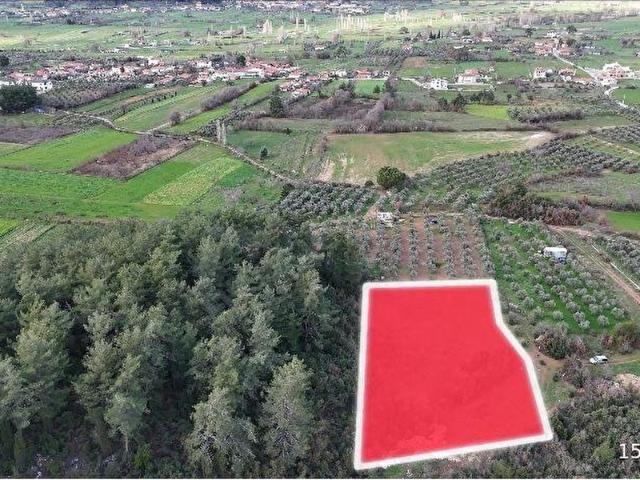 ARTE GAYRİMENKUL'DEN YENİCE'DE SATILIK 3.156 M2 TARLA