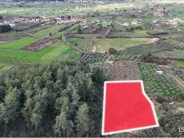 ARTE GAYRİMENKUL'DEN YENİCE'DE SATILIK 3.156 M2 TARLA