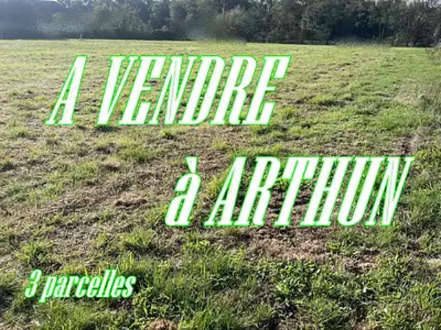 Arthun 42130 Achat / Vente terrain