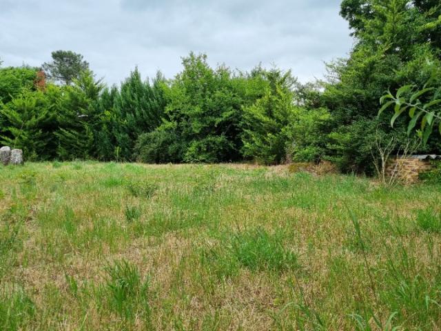Artigues près Bordeaux Vente Terrain 33