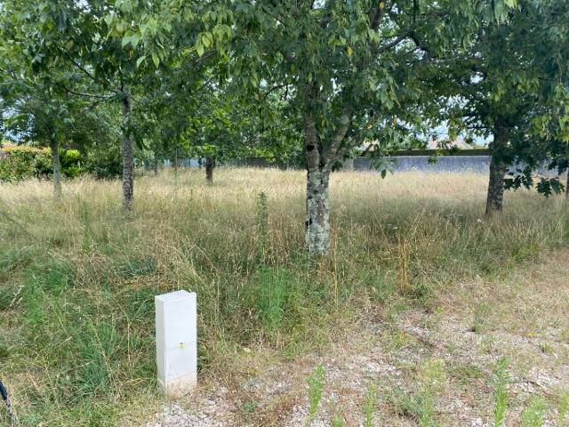 Artigues près Bordeaux Vente Terrain 33