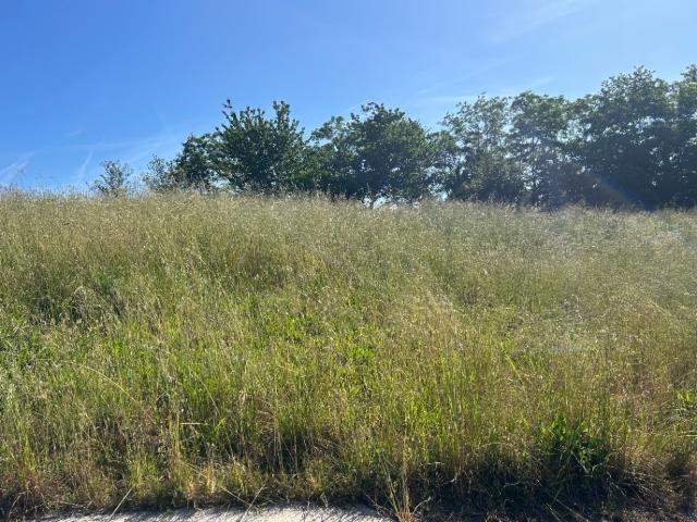 Artigues près Bordeaux Vente Terrain 33