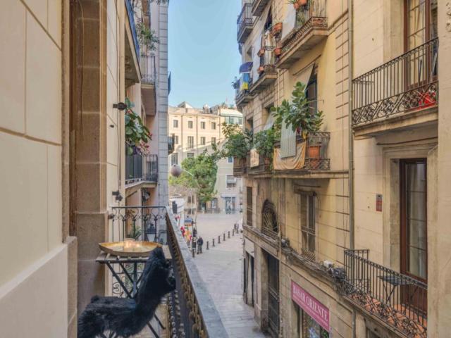 Gorgeous artist apartment in the famous Gothic Quarter