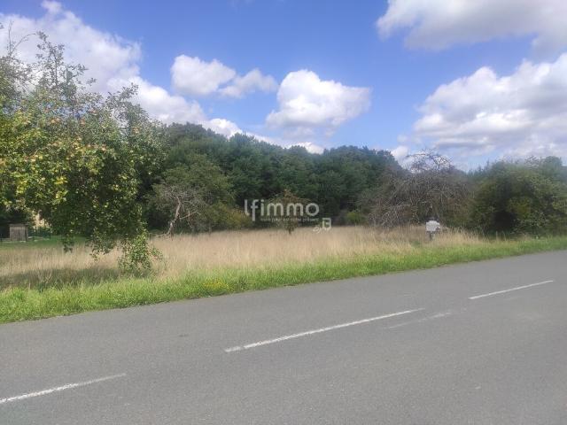Arzviller Vente Terrain 57