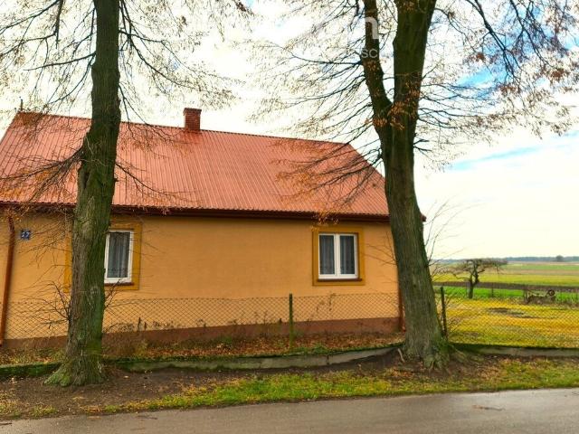 Ławy, Ławy 27, 68 m2