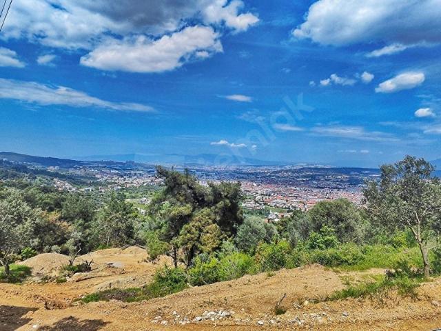 ATÖLYE'DEN GAZİEMİR YEŞİL MAH. İMAR SINIRINDA 2389 M2 ARAZİ