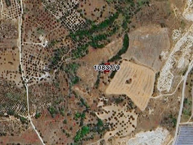 ATA 35 EMLAK'tan Yenifoça'da Satılık Arsa