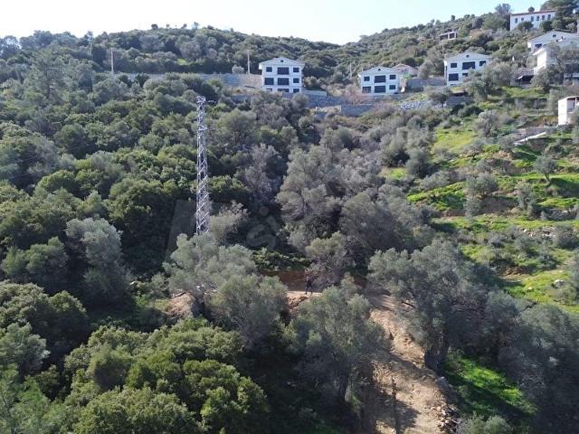 ATA EMLAKTAN SEFERİHİSAR ORHANLI ENGEÇ DERESİ MEVKİ 292 M2 ARSA