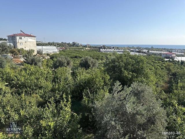 ATABEY'den Kocahasanlı'da 2310m Köşe Parsel Arsa 2050+260