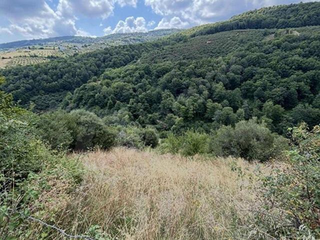 Atakum Kurugökçe'de Satılık 569 m Resmi Yolu Olan İmarlı Arsa