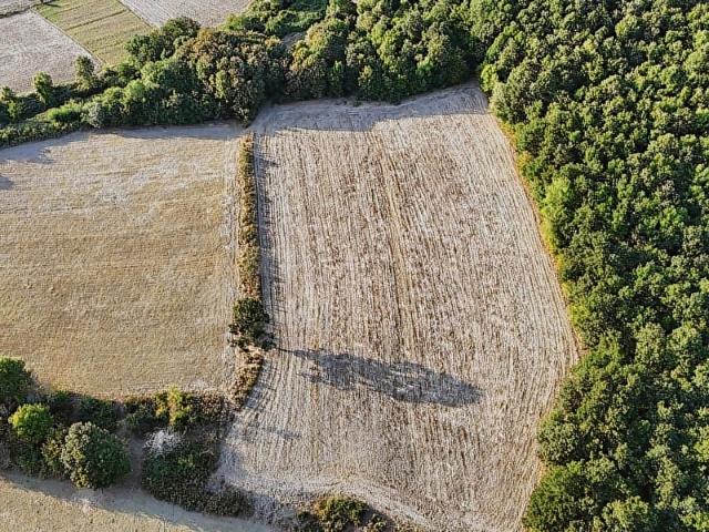 ÇATALCA BEGRAT'DA KÖYÜN DİBİN'DE ARAÇ TAKASINA UYGUN 232M2 ACİL!