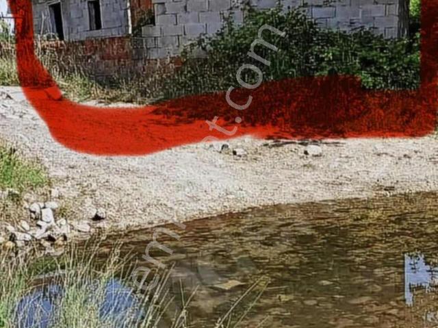 Çatalca Belgrat Ta Köy İçi Planda Ormana Karşı Ev