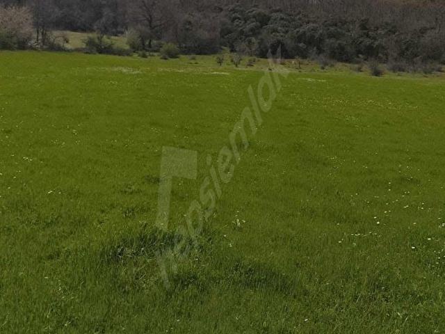 Çatalca belgratta 357m uygun fiyata kelepir arsa