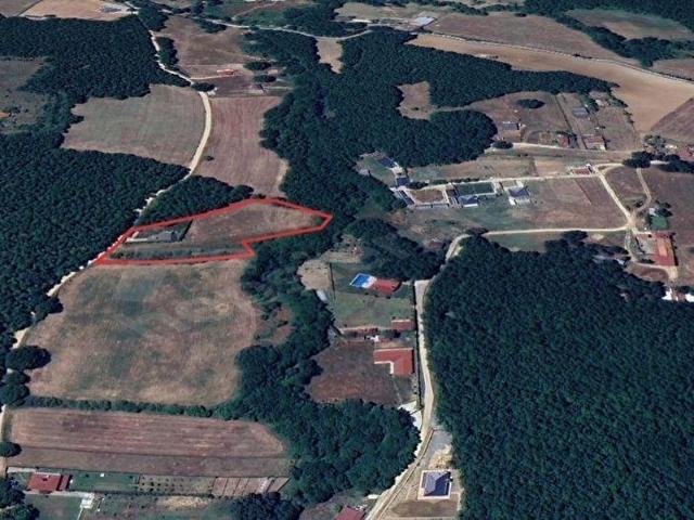 Çatalca Binkılıç'ta 1278m2 Satılık Yolu Açık Tarladan Hisse