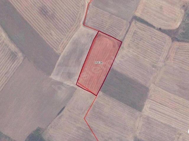 ÇATALCA ELBASAN MAHALLESİ 348 M2 YATIRIMLIK ARSA