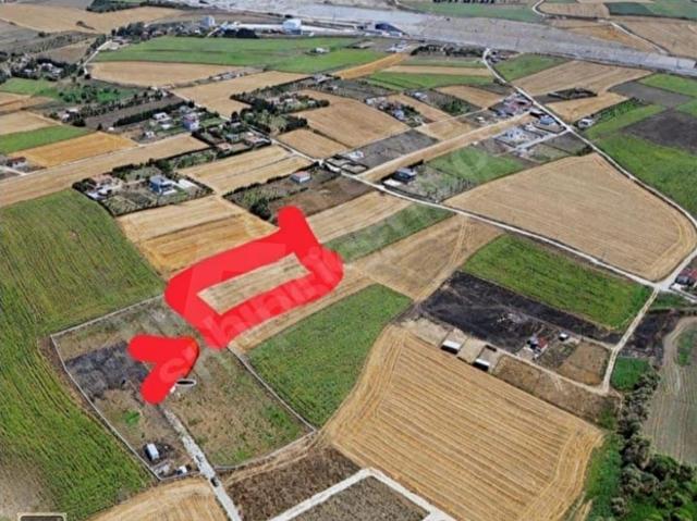 Çatalca Elbasan Satılık TarlaTek Tapu 15000'lik planda