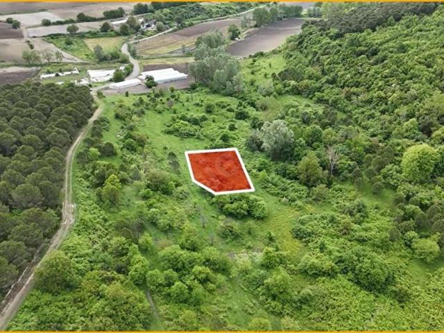 Çatalca Kızılcaalide Orman İçinde Yatırımlık 268 m Arsa
